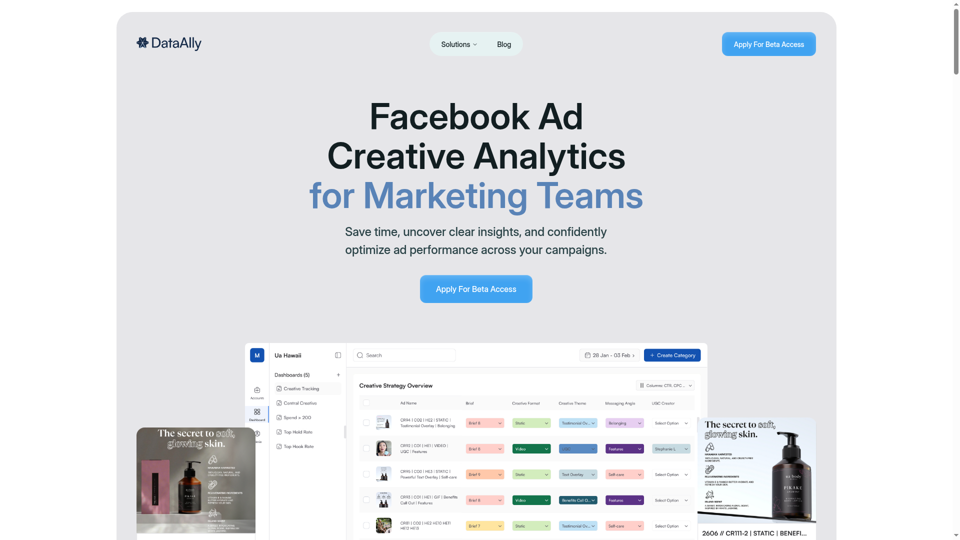 DataAlly — AI Advertising